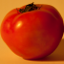 fruto tomate.