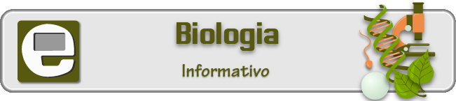 Informativo