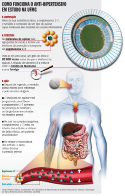 como funciona o anti-hipertensivo