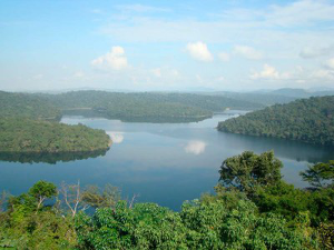 Imagem do lago Dom Helvcio no Parque Estadual do Rio Doce (MG) de coleta de bactrias que biodegradam arsnio