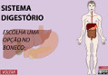 sistema digestrio