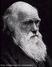 Considerado o "Pai" da Evoluo. Em seu livro "A origem das espcies" (1859), introduziu a ideia de evoluo a partir de um ancestral comum, por meio de seleo natural a qual se tornou a explicao cientfica dominante para a diversidade de espcies na natureza. <br/><br/> Palavras-chave: Evoluo. Teoria. Seleo natural. Darwin. Evolucionista. 
