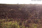 Processo de deslocamento de terra causado pela retirada de cobertura vegetal do solo. <br/><br/> Palavras-chave: Desmatamento. Eroso pluvial. Assoreamento. Lixiviao. 