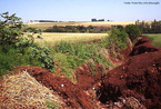 A retirada de coberturas vegetais de solos e a construo em locais inadequados so as principais causas da eroso. <br/><br/> Palavras-chave: Desmatamentos. Assoreamento. Lixiviao. Eroso pluvial. 