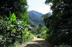 Termo geral para a vida vegetal de uma regio. A grande extenso territorial e latitudinal e a diversidade climtica do Brasil explicam a extraordinria riqueza vegetal que o pas possui. <br/><br/> Palavras-chave: Flora. Cobertura. Vegetao. Clima. 