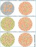 Esta tabela foi criada em 1917, na Universidade de Tokyo, pelo Dr. Ishihara, com o objetivo de avaliar a confuso congnita para o verde-vermelho. O teste consiste de tabelas com uma matriz de pontos dispostos para formar um nmero ou uma linha que possa ser traada. Os pontos que formam os nmeros so visveis para pessoas com viso de cor normal para verde-vermelho, mas so confusos, em virtude das cores adjacentes, para pessoas que sofram deficincia de viso para verde-vermelho. <br/><br/> Palavras-chave: Gentica. Viso. Daltonismo. Confuso congnita. 