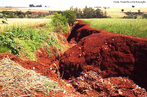 Processo de deslocamento de terra causado por ao de fenmenos da natureza ou do ser humano. <br/><br/> Palavras-chave: Desmatamento. Assoreamento. Lixiviao. Eroso pluvial. 