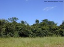 O Ministrio do Meio Ambiente cita que o Cerrado  o segundo maior bioma da Amrica do Sul, ocupando uma rea de 2.036.448 km2, cerca de 22% do territrio nacional. A sua rea contnua incide sobre os estados de Gois, Tocantins, Mato Grosso, Mato Grosso do Sul, Minas Gerais, Bahia, Maranho, Piau, Rondnia, Paran, So Paulo e Distrito Federal, alm dos encraves no Amap, Roraima e Amazonas. Neste espao territorial encontram-se as nascentes das trs maiores bacias hidrogrficas da Amrica do Sul (Amaznica/Tocantins, So Francisco e Prata), o que resulta em um elevado potencial aqufero e favorece a sua biodiversidade. Considerado como um hotspots mundiais de biodiversidade, o Cerrado apresenta extrema abundncia de espcies endmicas e sofre uma excepcional perda de habitat. Do ponto de vista da diversidade biolgica, o Cerrado brasileiro  reconhecido como a savana mais rica do mundo, abrigando 11.627 espcies de plantas nativas j catalogadas. Existe uma grande diversidade de habitats, que determinam uma notvel alternncia de espcies entre diferentes fitofisionomias. Cerca de 199 espcies de mamferos so conhecidas, e a rica avifauna compreende cerca de 837 espcies. Os nmeros de peixes (1200 espcies), rpteis (180 espcies) e anfbios (150 espcies) so elevados. O nmero de peixes endmicos no  conhecido, porm os valores so bastante altos para anfbios e rpteis: 28% e 17%, respectivamente. De acordo com estimativas recentes, o Cerrado  o refgio de 13% das borboletas, 35% das abelhas e 23% dos cupins dos trpicos. Mais de 220 espcies tm uso medicinal e mais 416 podem ser usadas na recuperao de solos degradados, como barreiras contra o vento, proteo contra a eroso, ou para criar habitat de predadores naturais de pragas. Mais de 10 tipos de frutos comestveis so regularmente consumidos pela populao local e vendidos nos centros urbanos, como os frutos do Pequi (Caryocar brasiliense), Buriti (Mauritia flexuosa), Mangaba (Hancornia speciosa), Cagaita (Eugenia dysenterica), Bacupari (Salacia crassifolia), Cajuzinho do cerrado (Anacardium humile), Araticum (Annona crassifolia) e as sementes do Bar (Dipteryx alata). Contudo, inmeras espcies de plantas e animais correm risco de extino. Estima-se que 20% das espcies nativas e endmicas j no ocorram em reas protegidas e que pelo menos 137 espcies de animais que ocorrem no Cerrado esto ameaadas de extino. Depois da Mata Atlntica, o Cerrado  o bioma brasileiro que mais sofreu alteraes com a ocupao humana. Com a crescente presso para a abertura de novas reas, visando incrementar a produo de carne e gros para exportao. Nas trs ltimas dcadas, o Cerrado vem sendo degradado pela expanso da fronteira agrcola brasileira. Alm disso, o bioma Cerrado  palco de uma explorao extremamente predatria de seu material lenhoso para produo de carvo. De todos os hotspots mundiais, o Cerrado  o que possui a menor porcentagem de reas sobre proteo integral. O Bioma apresenta 8,21% de seu territrio legalmente protegido por unidades de conservao; desse total, 2,85% so unidades de conservao de proteo integral e 5,36% de unidades de conservao de uso sustentvel, incluindo RPPNs (0,07%).</br></br> Palavras-chave: Cerrado. Hotspots. Biodiversidade. Ameaas. Unidades de Conservao. Rios. Diversidade biolgica. 