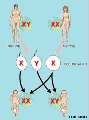 Hereditariedade genetica