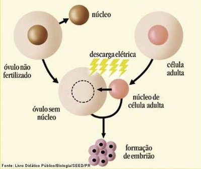 imagem mostrando como ocorre a tcnica de clonagem