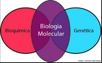 Esquema da diviso da biologia molecular. <br/><br/> Palavras-chave: Biologia. Biologia molecular. Esquema.  