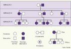 Corresponde a um levantamento histrico familiar, atravs de representao grfica, do estudo de uma determinada caracterstica gentica. Esse levantamento permite ao geneticista saber se uma dada caracterstica  ou no hereditria e de que modo  herdada. No heredograma, cada indivduo  representado por um smbolo que indica as suas caractersticas particulares e sua relao de parentesco com os demais. <br/><br/> Palavras-chave: Gentica. Genealogias. Parentesco. Hereditariedade. Caracteres genticos.  