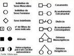 Representao grfica de uma ou mais caractersticas genticas manifestadas em uma famlia. Neste, os indivduos so representados por smbolos. A cor do preenchimento dessas figuras indica a caracterstica gentica pertinente ao indivduo. <br/><br/> Palavras-chave: rvore. Genealgica. Caracteres. Gentica. Simbologia. 