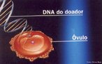 Tcnica de clonagem onde o DNA  retirado de uma clula adulta do doador e introduzido num vulo "vazio". Aps algumas divises, as clulas-tronco so direcionadas no laboratrio para fabricar tecidos idnticos aos do doador, tecidos que nunca sero rejeitados por ele. <br/><br/> Palavras-chave: Biotecnologia. Clonagem. Clulas-tronco. Engenharia. Gentica. DNA. Ncleo.