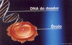 Clonagem Teraputica 1