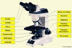  um instrumento usado para ampliar, com uma srie de lentes, estruturas pequenas impossveis de visualizar a olho nu.  constitudo por um componente mecnico que suporta e permite controlar um componente ptico que amplia as imagens. <br/><br/> Palavras-chave: Microscpio tico. Microscpio de luz. Microscopia. Biocular.