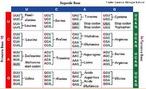 Os cdons, em gentica, correspondem a uma sequncia de trs bases nitrogenadas de RNA-m que codificam um determinado aminocido ou que indicam o ponto de incio ou fim do processo de traduo de uma cadeia de RNA mensageiro. <br/><br/> Palavras-chave: citologia, ncleo celular, DNA, RNA, cdigo gentico, transcrio, traduo, aminocidos, anticdons, protenas. 