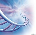 Molcula de DNA