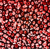 Células sanguíneas que possuem a proteína hemoglobina responsável pela coloração vermelha do sangue. São produzidas na medula óssea vermelha e duram em torno de 120 dias, na espécie humana. <br/><br/> Palavras-chave: eritrócitos, glóbulos vermelhos, hemoglobina, elementos figurados, sangue. 