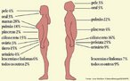 Cncer  o nome dado a um conjunto de doenas que tm em comum a multiplicao desordenada de clulas que invadem os tecidos e rgos formando tumores. As clulas cancerosas podem se desprender do tumor e viajar para outra parte do corpo onde passam a crescer e a substituir o tecido sadio, num processo chamado metstase. <br/><br/> Palavras-chave: Citologia, diviso celular, tumores, metstase, doenas. 