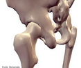Ilustra os ossos da pélvis que tem como função a sustentação do tronco, membros inferiores e músculos. <br/><br/> Palavras-chave: Corpo Humano, Sistema Esquelético, Membros inferiores, Sustentação, Pélvis, Tronco, Músculos 