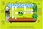 Ciclo que consiste na fixao do elemento carbono pelos seres auttrofos por meio da fotossntese ou da quimiossntese. Palavras-chave: gs carbnico, assimilao, combustveis fsseis, respirao, fermentao. Obs.: imagem tambm disponvel em PDF <br/><a href="http://www.biologia.seed.pr.gov.br/arquivos/File/imagens/ciclocarbono.pdf" target="_blank">Acesse PDF<a/> <br/><br/> Palavras-chave: ciclos biogeoqumicos, carbono, orgnico, ecologia   