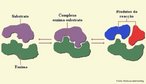 Complexo enzima-substrato