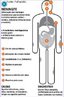 Corresponde a inflamao das membranas que revestem o encfalo e a medula espinhal. <br/><br/> Palavras-chave: meninges, sistema nervoso, micro-organismos. 