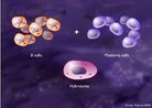 So protenas especficas, produzidas em laboratrio, para detectar ou combater antgenos (microorganismos que causam doenas) especficos do organismo. <br/><br/> Palavras-chave: Biotecnologia. Anticorpos. Monoclonais. Protenas. Antgenos. Tratamento. Patologias. Imunoterapia. 