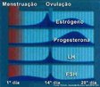 A menstruao  uma descamao do endomtrio acompanhada de sada de sangue. Isto ocorre porque os ovrios reduzem muito a secreo de hormnios, e estes, por vrios mecanismos, reduzem o estmulo ao endomtrio, cujas clulas morrem e descamam. O primeiro dia do ciclo menstrual  o dia de incio da menstruao, no importando quantos dias ela dure.  <br/><br/> Palavras-chave: Reproduo, menstruao, ciclo, tero, endomtrio. 