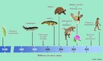 Todos os seres vivos descendem de um ancestral comum ou de um pool gentico ancestral. Atravs de uma escala evolutiva pode-se demonstrar a poca do surgimento de cada espcie na Terra. <br/><br/> Palavras-chave: evoluo, eucariontes, vertebrados, homindeos. 