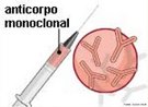 So protenas especficas, produzidas em laboratrio, para detectar ou combater antgenos (microorganismos que causam doenas) especficos do organismo. <br/><br/> Palavras-chave: Biotecnologia. Anticorpos. Monoclonais. Protenas. Antgenos. Tratamento. Patologias. Imunoterapia. 