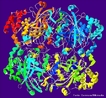 Enzima que possui a propriedade de acelerar reaes qumicas. <br/><br/> Palavras-chave: enzima, Catalase, acelerar, reao qumica, Biologia Molecular, Biologia. 