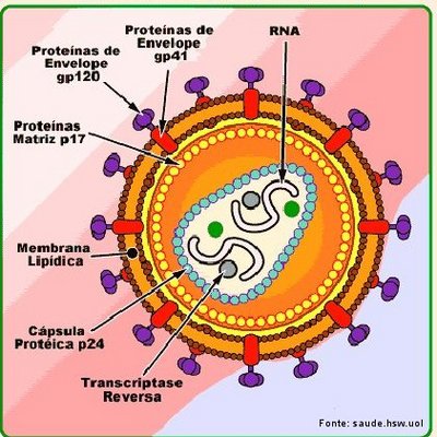 HIV vírus