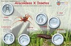 Os artrpodes so invertebrados que possuem apndices corporais e um exoesqueleto quitinoso. Apresentam cinco classes: insecta, arachnida, crustacea, chilopoda e diplopoda, que so definidas utilizando critrios, como: diviso do corpo e nmero de patas. O maior nmero de representantes pertence a classe insecta. <br /> <br /> Palavra-chave: invertebrados, artrpodes, ecdises, patas articuladas, aranha-marrom, barata.