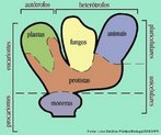 Sistema de Classificao