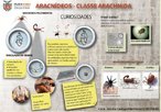 Os aracndeos pertencem ao filo Artrpoda. Apresentam o corpo dividido em cefalotrax e abdomem e possuem quatro pares de patas. Alguns representantes apresentam estrutura inoculadora de veneno, utilizado para imobilizar a presa e como defesa animal.<br /> <br /> Palavra-chave: artrpodes, aracndeos, aranhas, escorpies, carrapatos, tlson, quelceras, peonhentos.